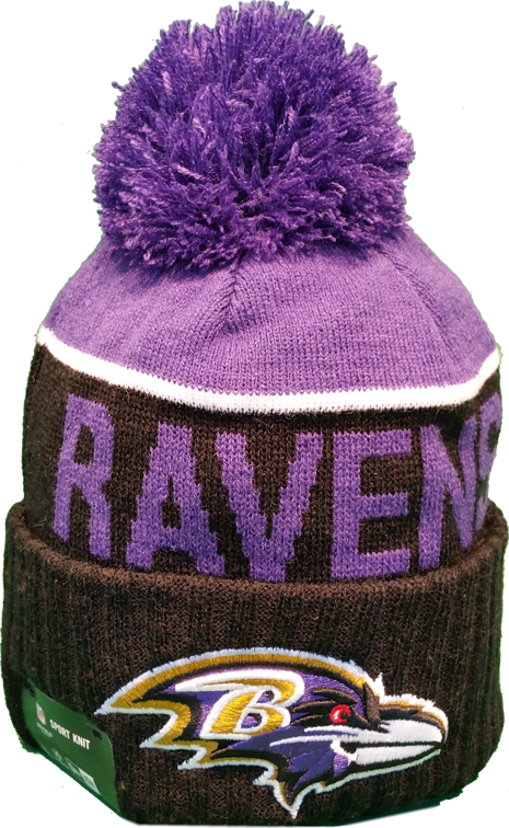 2016 nfl winter hats top