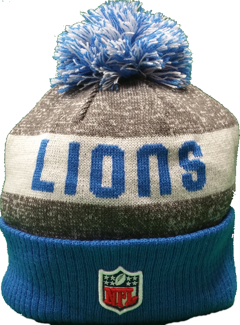 Detroit lions salute to new arrivals service 2017