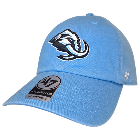 NHL CAPS