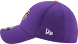 Minnesota Vikings 39THIRTY Team Classic Stretch