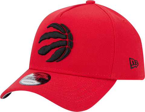 Toronto Raptors 9FORTY A-FRAME
