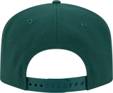 Minnesota Wild 9FIFTY A-FRAME Script