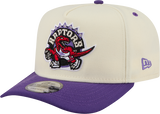 Toronto Raptors 9FIFTY A-FRAME Rear Hit