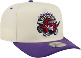 Toronto Raptors 9FIFTY A-FRAME Rear Hit