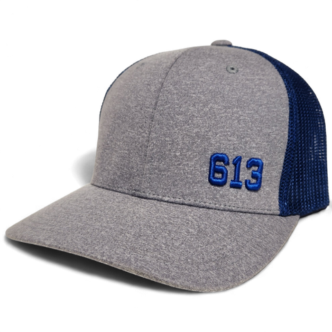 613 FLS Mesh FLEXFIT® Heather Royal