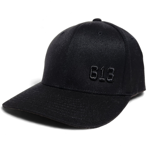 613 FLS FLEXFIT® Blackout