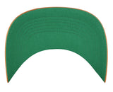 Michigan State Spartans '47 Break Wood Hitch Snapback