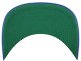 Montreal Expos '47 Pinstripe Hitch
