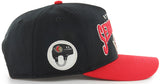 Ottawa Senators '47 Hard Hat Hitch