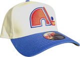 Quebec Nordiques 9FORTY A-FRAME