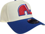 Quebec Nordiques 9FORTY A-FRAME
