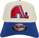Quebec Nordiques 9FORTY A-FRAME