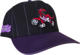 Toronto Raptors '47 Pinstripe Hitch