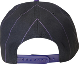 Toronto Raptors '47 Pinstripe Hitch