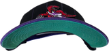 Toronto Raptors '47 Pinstripe Hitch