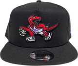 Toronto Raptors 9FIFTY A-FRAME HWC