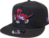 Toronto Raptors 9FIFTY A-FRAME HWC