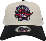 Toronto Raptors 9FORTY A-FRAME HWC Chalk White Black