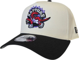 Toronto Raptors 9FORTY A-FRAME HWC Chalk White Black