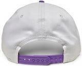 Toronto Raptors New Era 1920 HWC White Purple