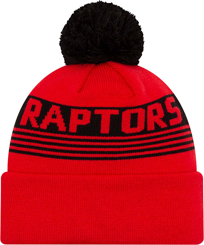 Raptors winter hat sales