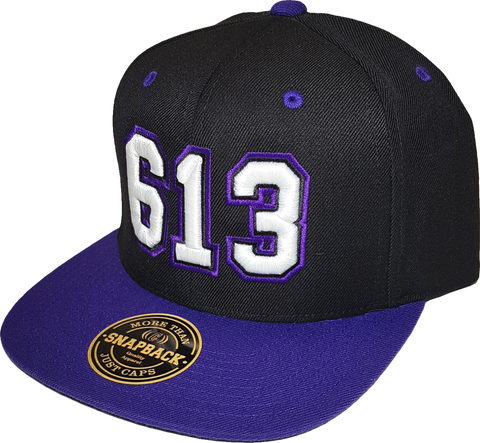 613 Ottawa Snapback Represent Black-Purple