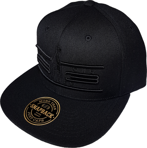 Ottawa Cap Represent Cyber Mesh Back Trucker Snapback Blackout