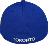 Toronto Blue Jays Batting Practice 39Thirty Flex Fit